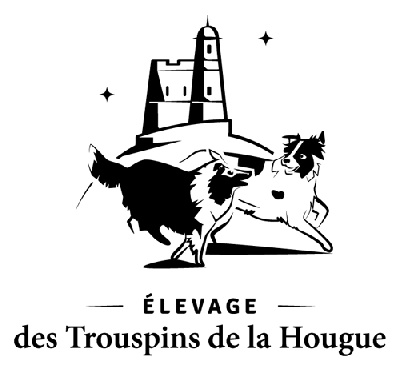 Des Trouspins De La Hougue
