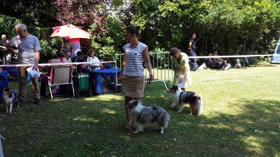 Des Trouspins De La Hougue - Expo de Pierrelatte - 06.07.2014